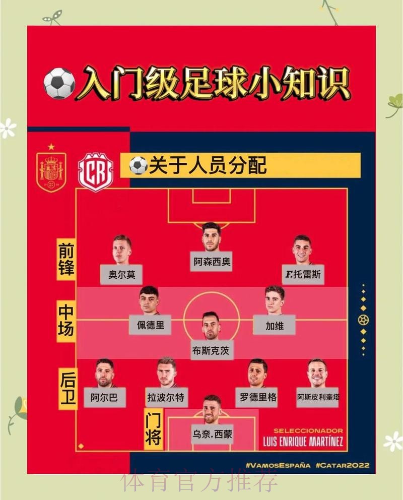 世界杯让球站风险评估与规避方法